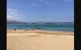 Estudio Paseo Las Canteras